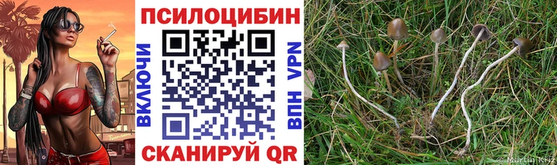 ОМГ ОМГ маркетплейс  наркошоп  Глазов  Галлюциногенные грибы Magic Shrooms 
