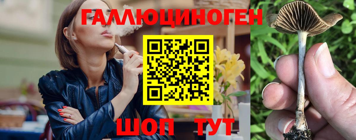 Псилоцибиновые грибы мухоморы Глазов