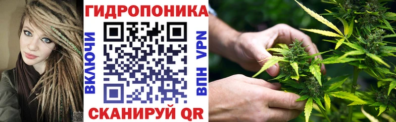 как найти наркотики  Глазов  Бошки марихуана планчик 